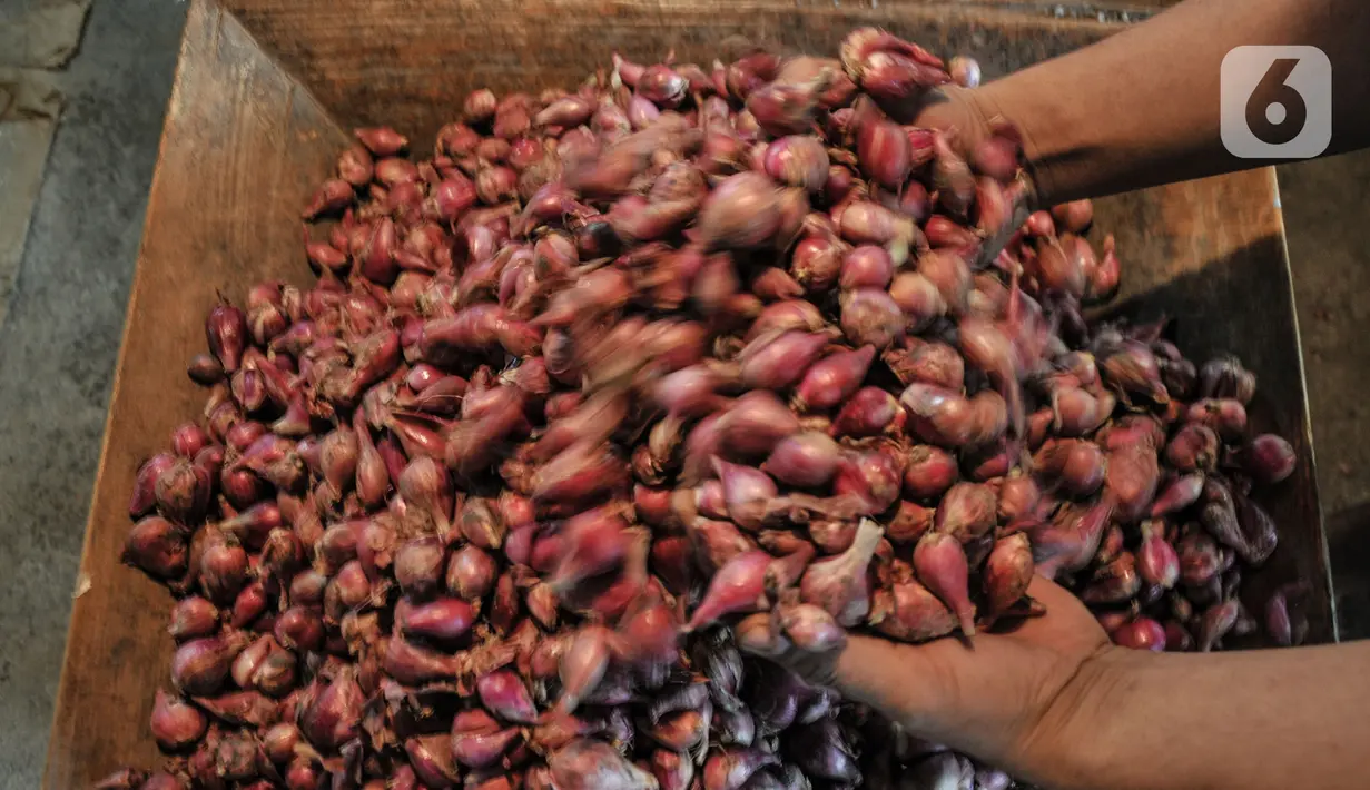 Pedagana menunjukkan bawang merah di Pasar Induk Kramat Jati, Jakarta Timur, Rabu (14/12/2022). Berdasarkan data Pusat Informasi Harga Pangan Strategis (PIHPS) Nasional pada hari ini, sejumlah komoditas menunjukkan kenaikan. (merdeka.com/Iqbal S. Nugroho)