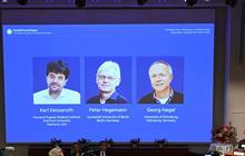 Nobel Kedokteran 2026 untuk Optogenetika, Kenali 3 Ilmuwan di Baliknya