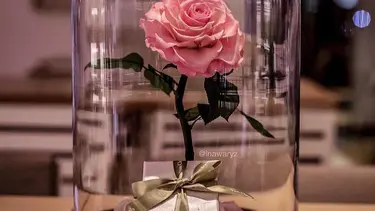 3 Tahun Nggak Layu Cantiknya Mawar Ala Beauty And The Beast Fashion Fimela Com