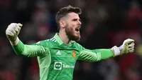 Ketimbang David De Gea, Luis Enrique Ingin Coba Kiper Brentford di Timnas Spanyol