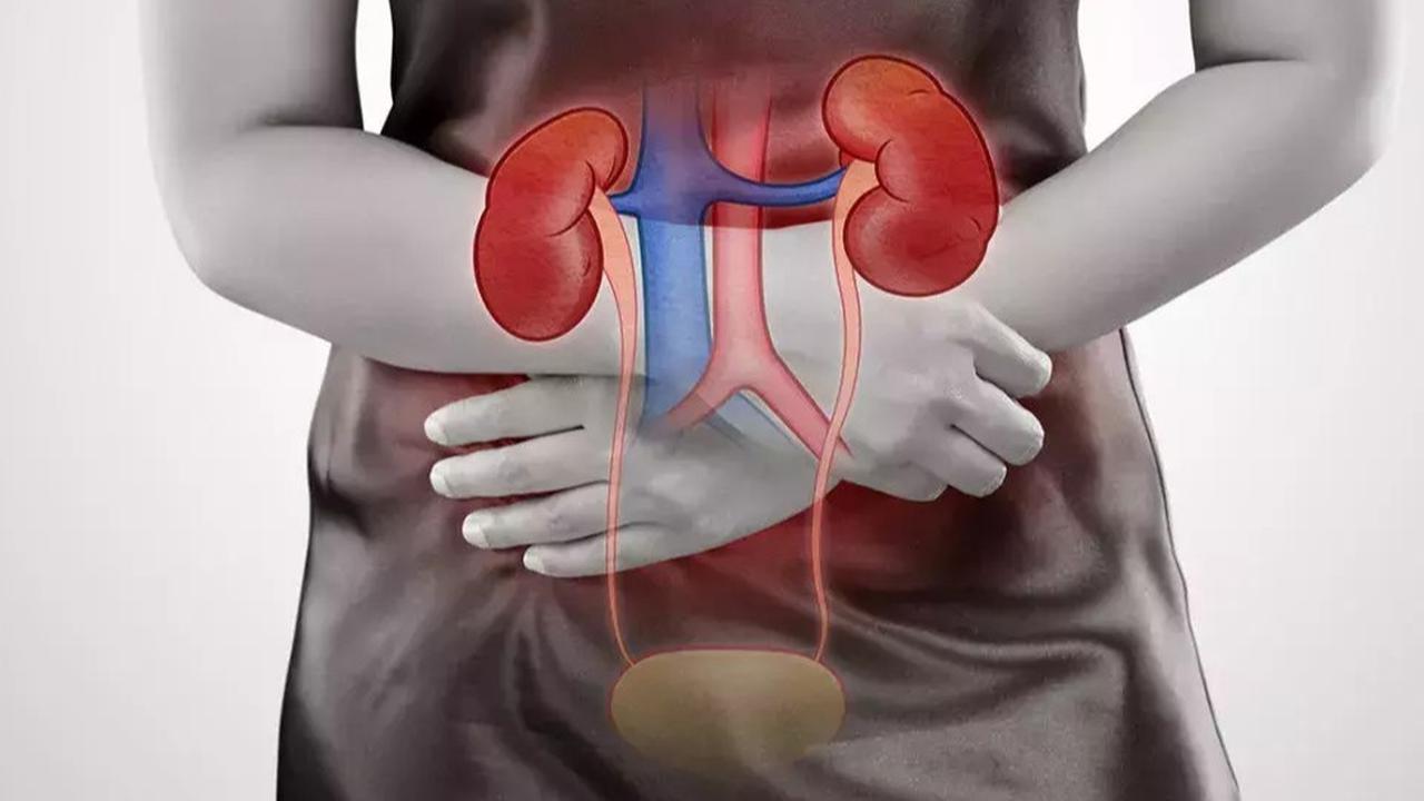 Apakah ISK Bisa Hamil? Berikut Penjelasan Lengkapnya