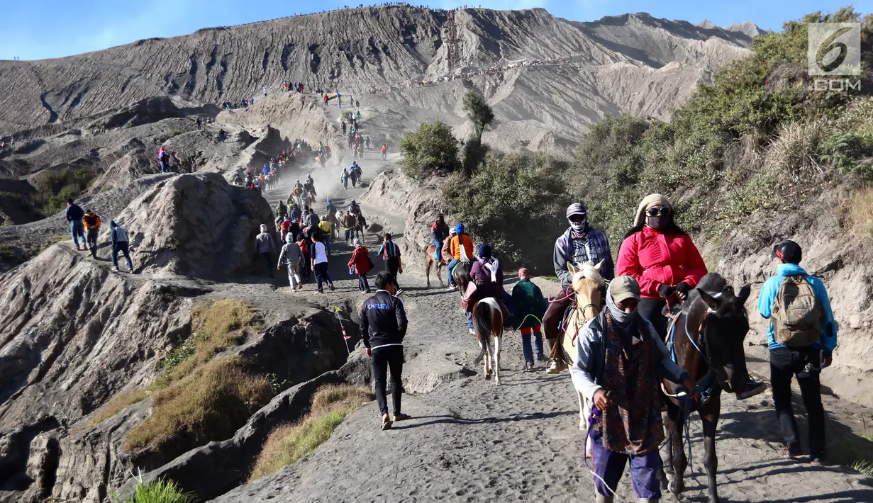 Joki kuda membawa wisatawan turun dari Gunung Bromo di Taman Nasional Bromo Tengger Semeru, Jawa Timur, Sabtu (4/11). Joki akan mendampingi wisatawan keliling kawasan Gunung Bromo. (Liputan6.com/Fery Pradolo)