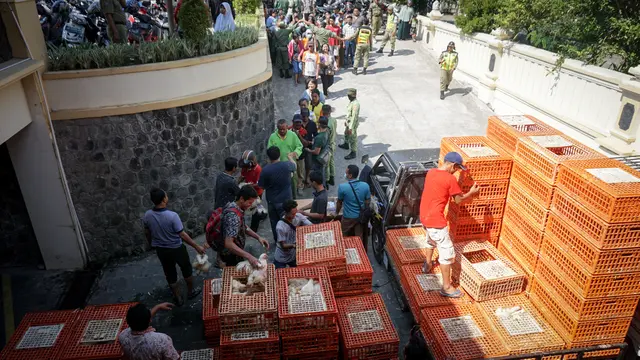Bagi-bagi Ayam Gratis di Solo