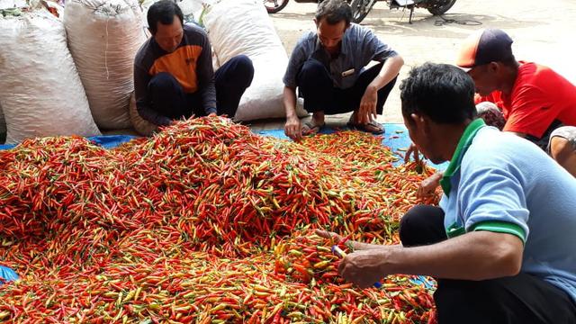 Kementan Terus Kawal Pasokan Cabai dan Bawang Merah
