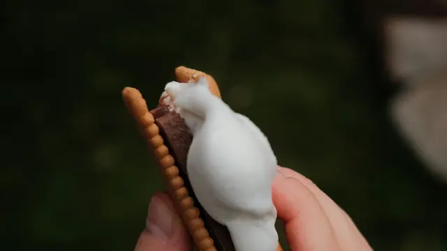 Roti Bakar Marshmallow