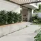 8 Inspirasi Planter Box Permanen untuk Palem Mini di Teras Minimalis, Desain Simpel dan Elegan