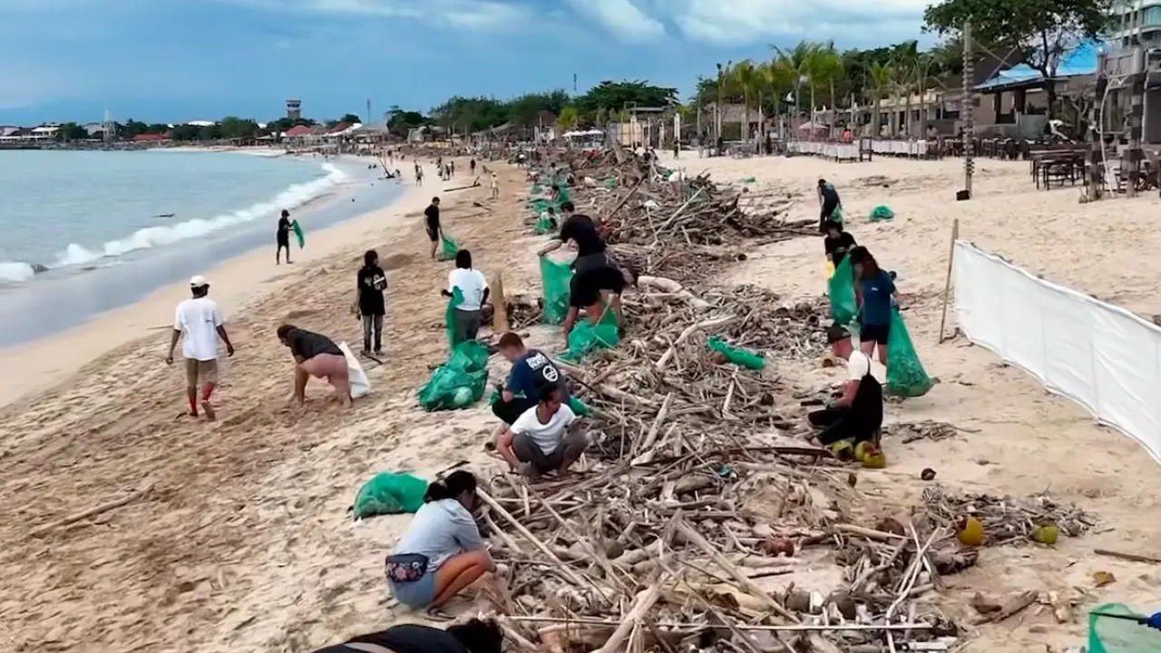 66,3 Ton Sampah Plastik Berhasil Diangkut dari Pantai Kedonganan di Jimbaran Bali, 2 Penyu Hidup Ditemukan Terperangkap