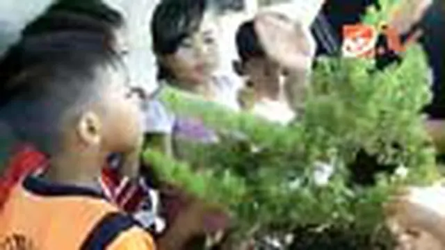 Asyiknya Membuat Bonsai di Waktu Libur