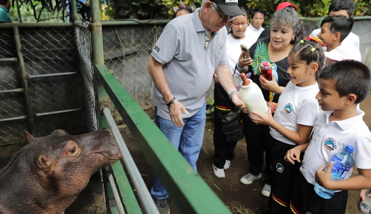 Dokter hewan Nikaragua Eduardo Sacasa mengajarkan anak-anak bagaimana memberi makan Fatima, bayi kuda nil berusia dua setengah tahun, di Kebun Binatang Masaya, Nikaragua (6/9/2019). (AFP Photo/Inti Ocon)