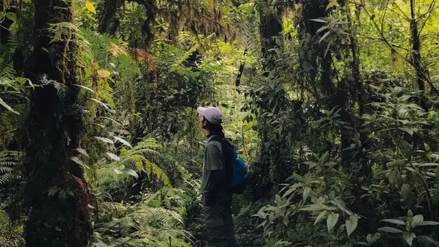 6 Fakta Menarik Gunung Tapak Yang Merupakan Puncak Tertinggi Ke 7 Di