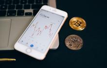 Investasi Mulai Rp160 Ribuan! EDENA Group Siapkan STO Platform Dukung Perdagangan Kredit Karbon