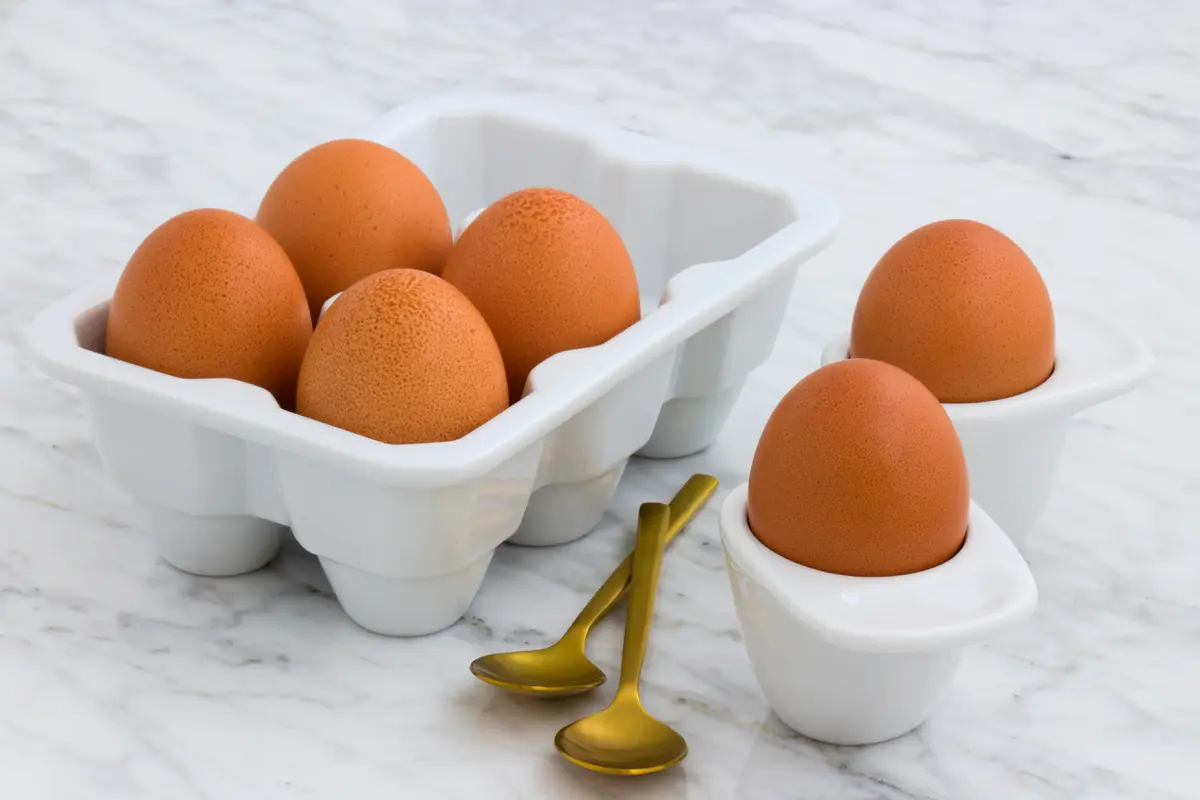 telur ayam