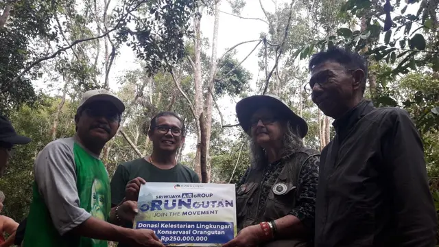 Terpukau Orangutan di Tanjung Harapan Kalimantan