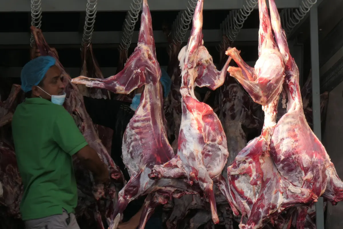 Daging dam petugas dan jemaah haji. (Foto: Liputan6.com/Kemenag)
