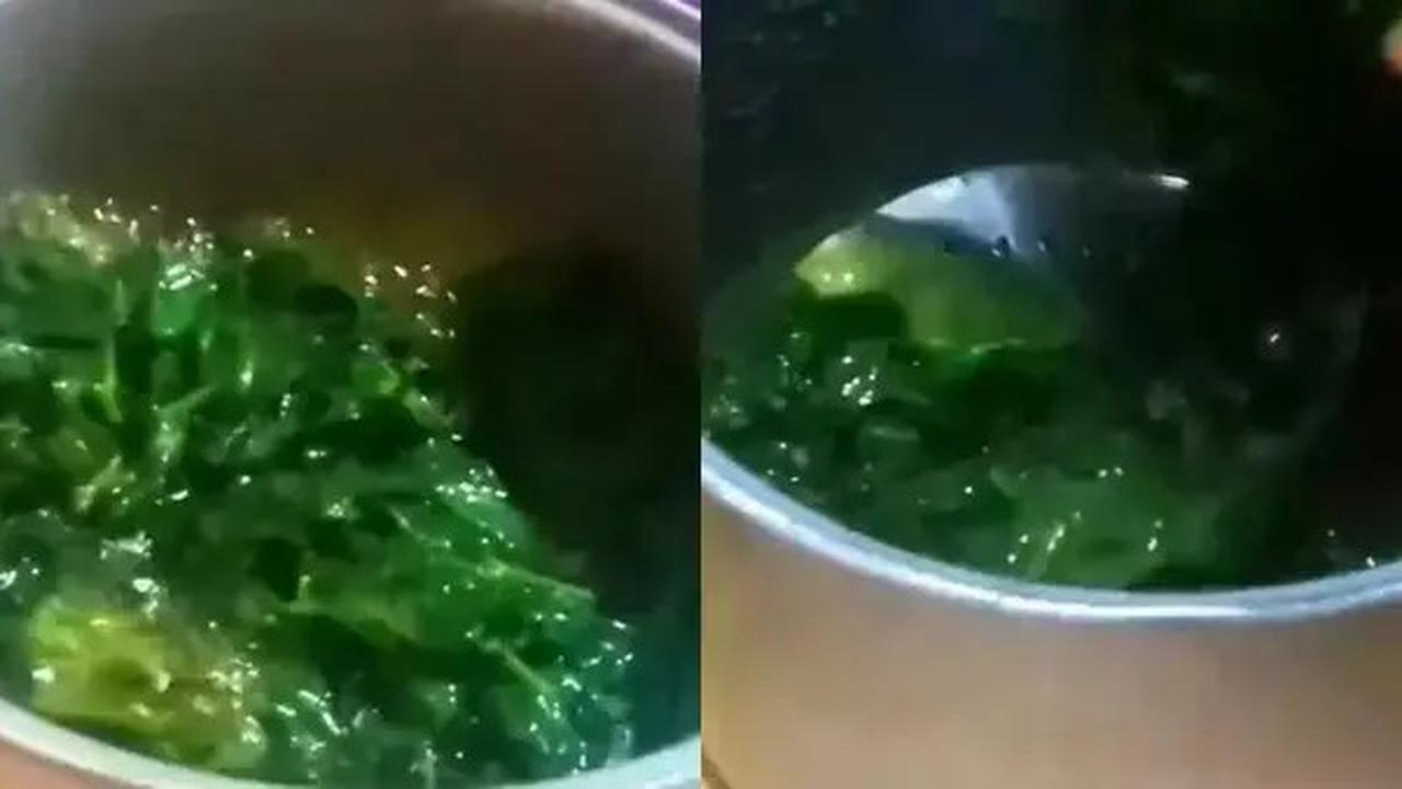 Cara Merebus Daun Singkong Agar Cepat Empuk dan Tetap Hijau Dalam 5 Menit