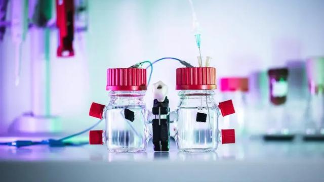 Bakteri E. Coli Menghasilkan Listrik