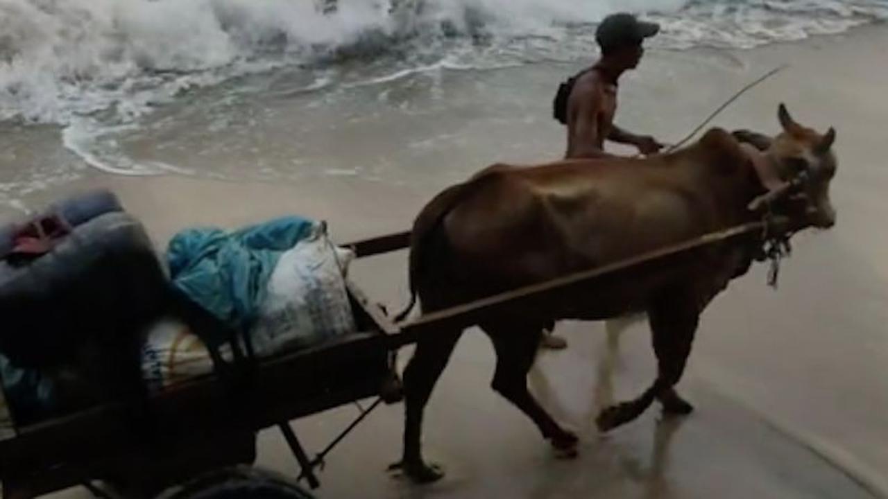 Jalan di Lampung Rusak Parah Warga Bertaruh Nyawa Lewat Pantai, Dana Desa Ramai Dipertanyakan