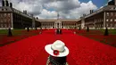 Permadani merah digelar saat pameran RHS Chelsea Flower Show di London, Inggris (23/5/2016). Pameran bunga ini diadakan setiap tahun di lapangan Royal Hospital Chelsea, akan berjalan tahun ini dari 24-28 Mei. (AFP Photo/Adrian Dennis)