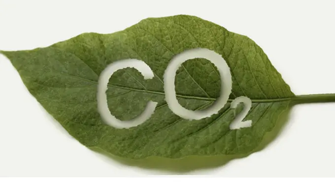 (C) binderturkiye.com