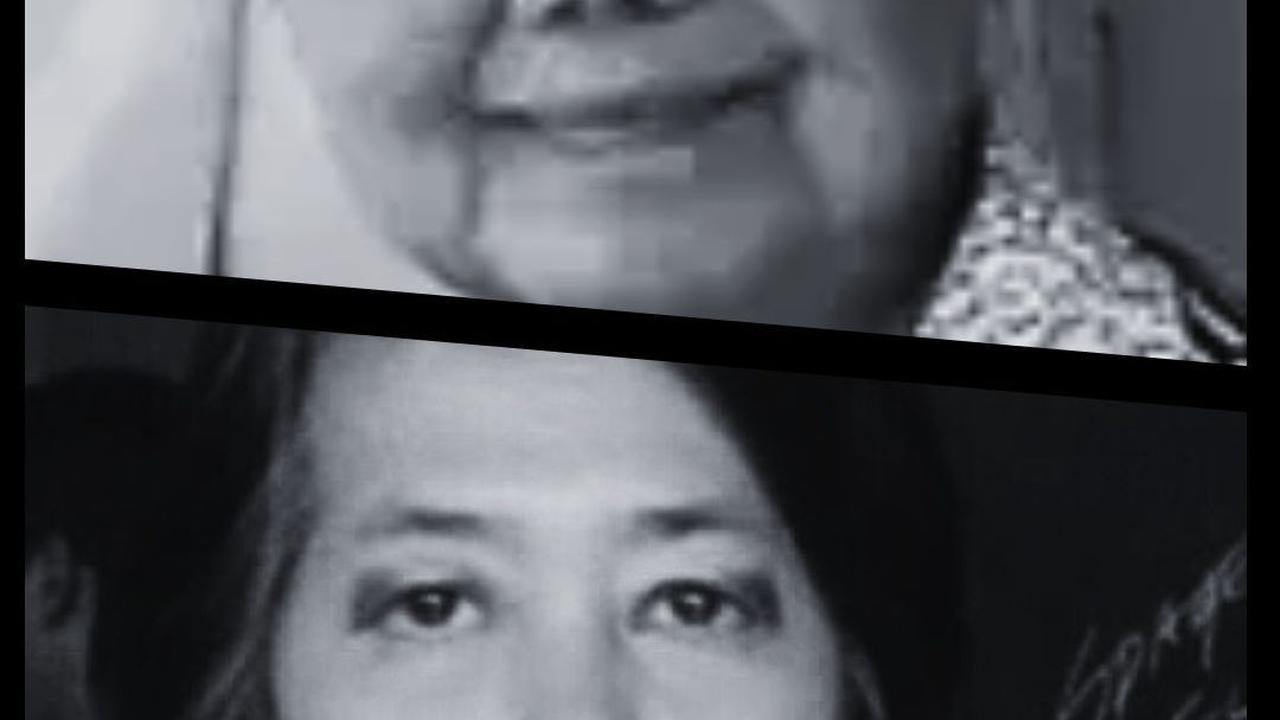 Marga T dan Mira W, Dokter Lulusan Trisakti yang Hobi Masukkan Profesi Nakes ke Cerita