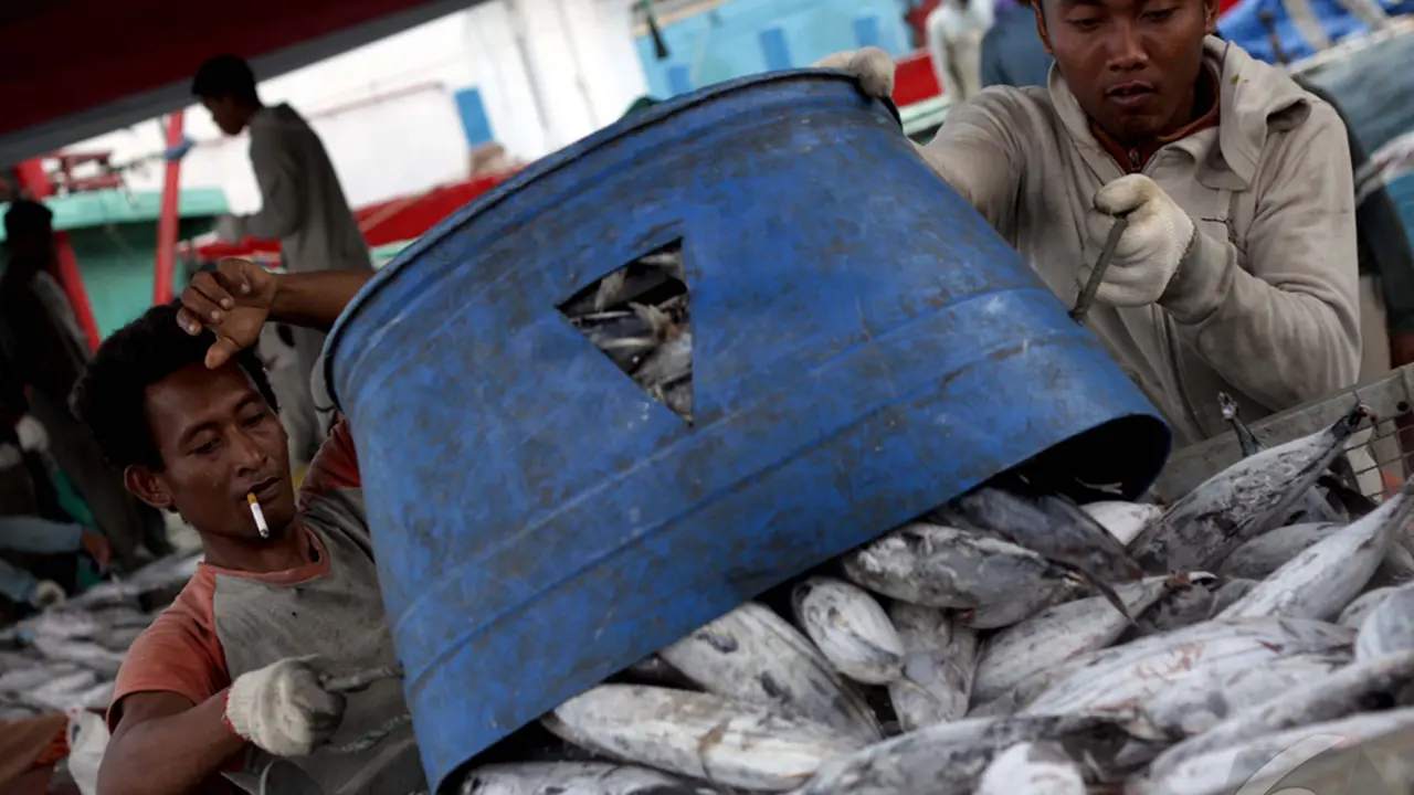 Harga Ikan Makin Murah Di 2015