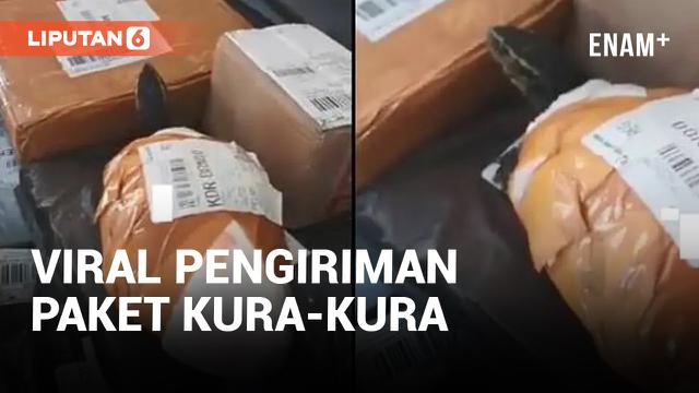VIRAL PENGIRIMAN PAKET KURA-KURA HANYA DISOLASI DAN DIPAKAIKAN PAMPERS, KOK JAHAT SIH?