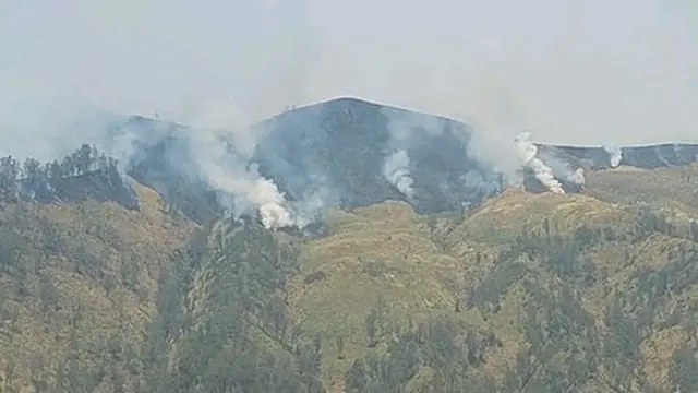 Kebakaran Tak Surutkan Minat Wisatawan ke Bromo
