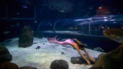 Sejumlah pengunjung melihat aksi mahasiswi biologi laut Isabela Cardoso berenang seperti putri duyung memprotes bahaya pencemaran laut dalam kehidupan laut di Rio de Janeiro di AquaRio, Brasil (14/1). (AFP Photo/Mauro Pimentel)