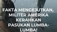 Angkatan Laut AS punya "pasukan" yang tidak biasa, yaitu lumba-lumba. Sejak 1960-an, hewan laut ini sudah dilibatkan dalam berbagai misi. Bagaimana caranya dan apa peran mereka? #AIVoiceDWNesia