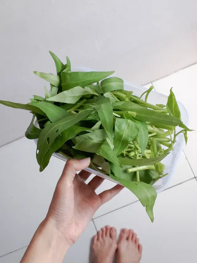 Ilustrasi kangkung | Laudia Tysara dari Pexels