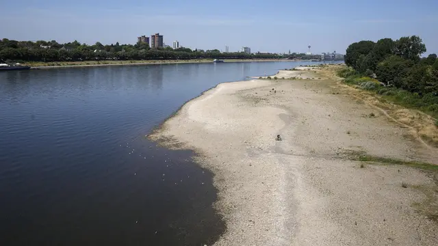Sungai Rhine di Jerman Dilanda Kekeringan Parah