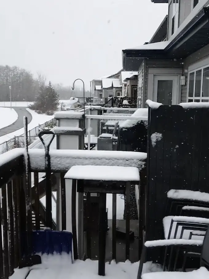 Potret suasana luar rumah Cindy Fatikasari (Sumber: Instagram/tengku_firmansyah)