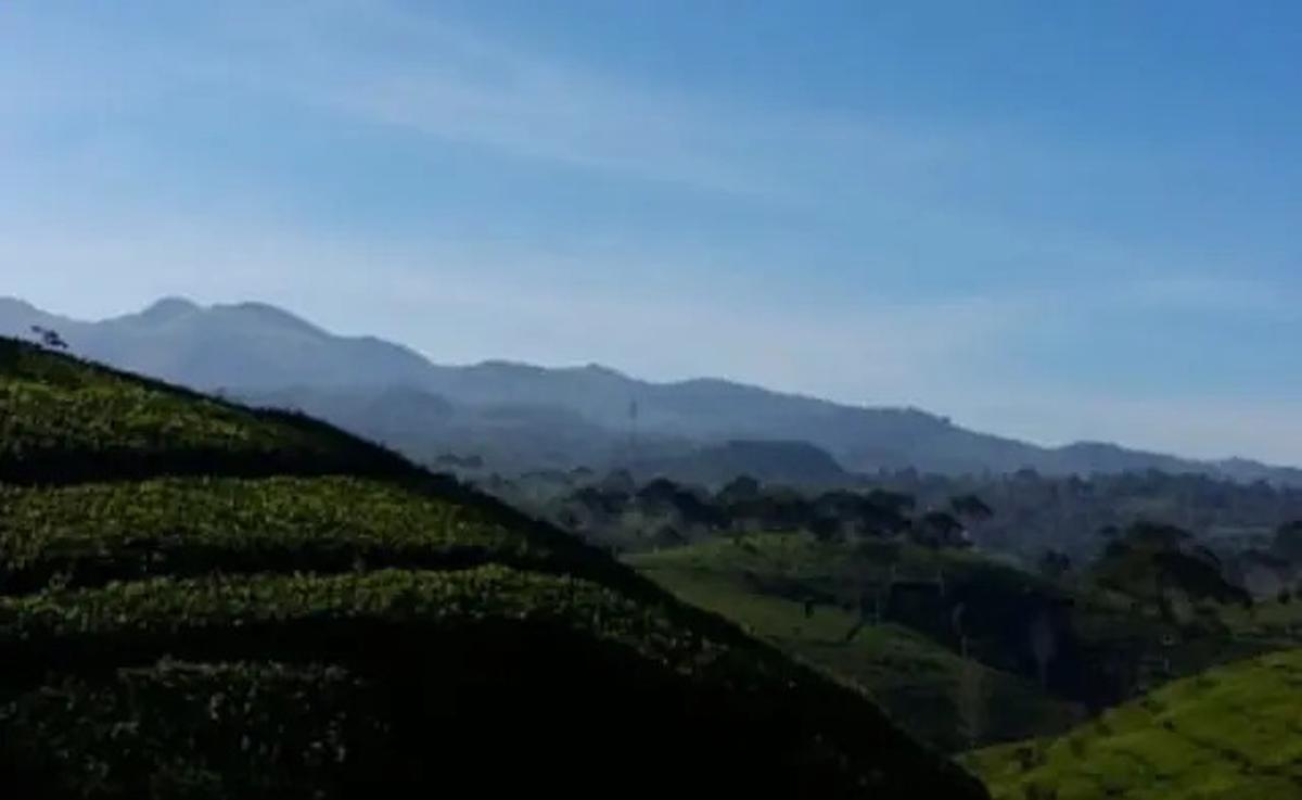6 Fakta Menarik Gunung Batu Ciwidey di Perbatasan Bandung dan Cianjur