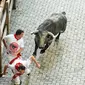 Dua orang peserta berusaha menghindar dari serudukan banteng  selama hari ketiga Festival San Fermin di Pamplona, Spanyol utara, (9/7). (AFP Photo/Jose Jordan)
