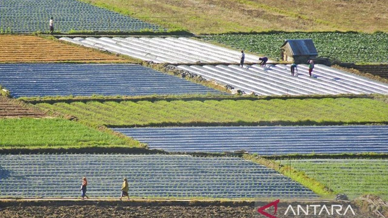 Penyaluran Dana Desa Lombok Tengah Triwulan I 2026 Capai 94 Desa, Ini Kendalanya