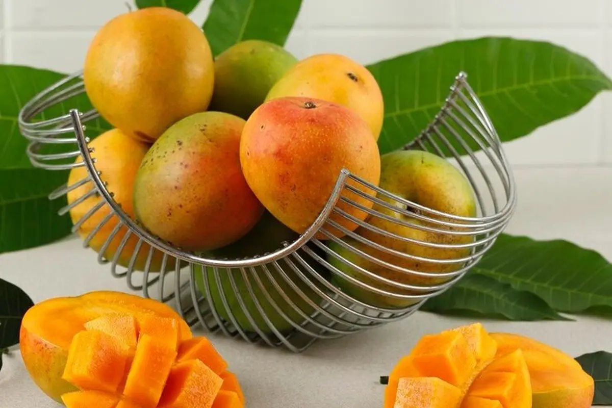 Ilustrasi buah mangga/freepik.com/ikarahma