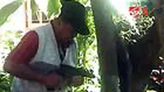 liputan6