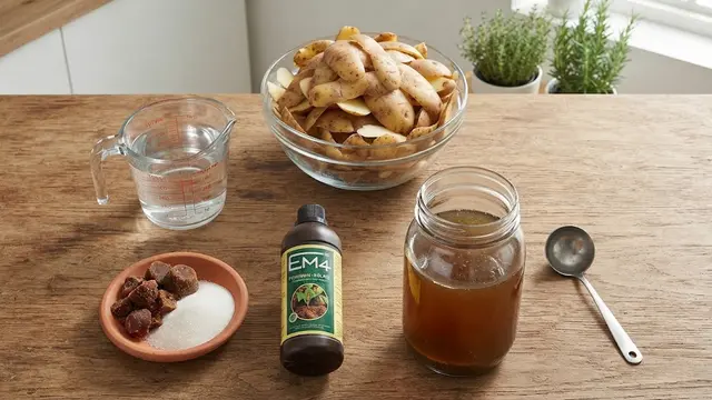 Cara Fermentasi Kulit Kentang Jadi Pupuk Cair