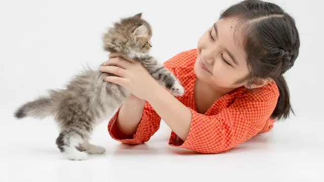 Ilustrasi anak memegang kucing