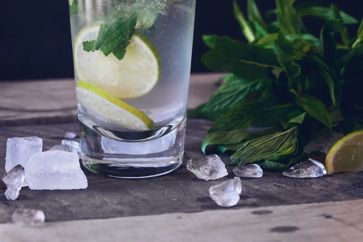 5 Resep Infused Water