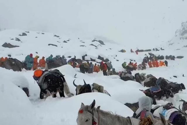 Korban Selamat dari Longsor Salju