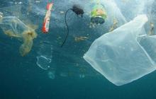 Awas Bahaya Plastik Bagi Kesehatan, Ternyata Miliki Dampak Serius Bagi Tubuh