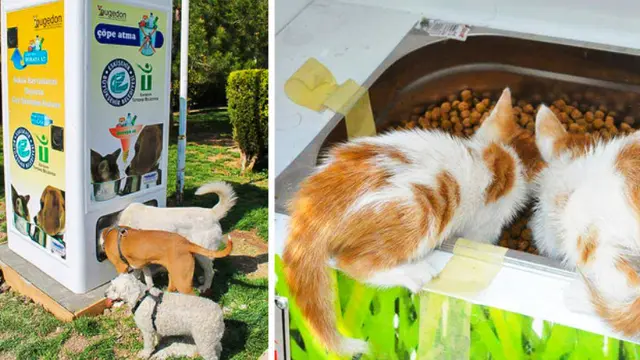 Unik, Mesin Ini Ubah Botol Plastik jadi Makanan untuk Hewan Liar