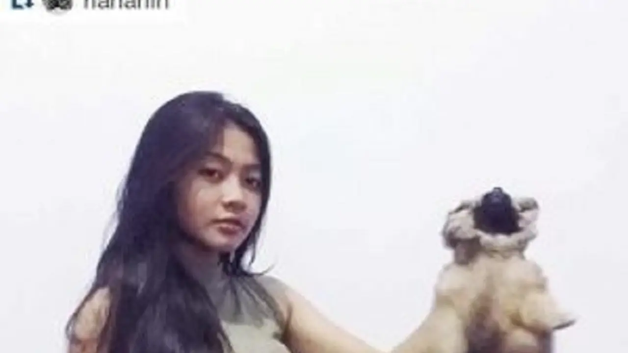 Dikecam, Wanita Ini Minta Maaf Sudah Cekik Anjing