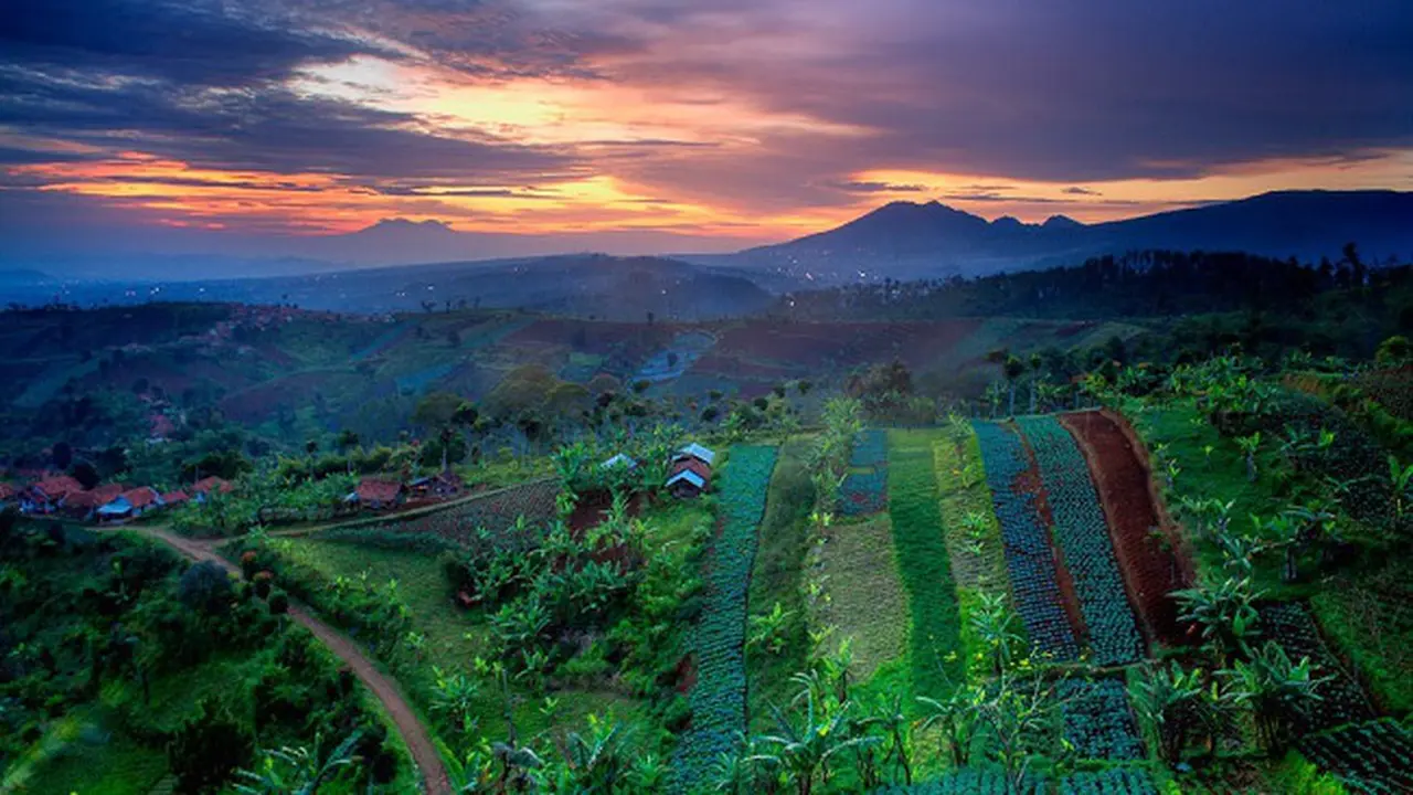 Bukit Moko