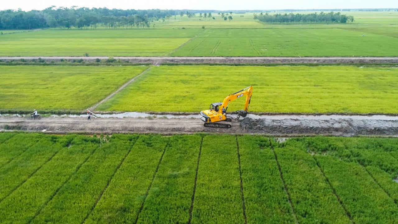 sawah
