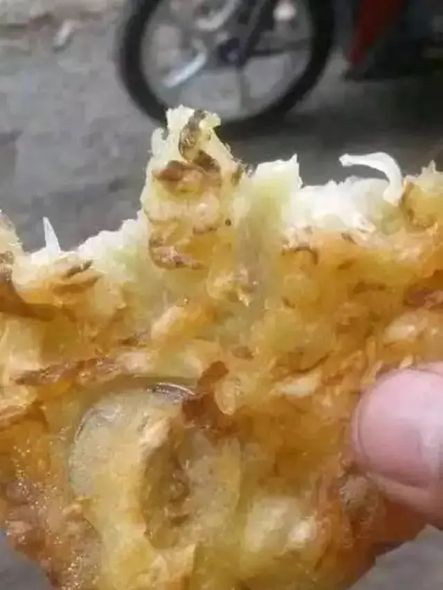 Jadi Menu Takjil Favorit, 8 Potret Gorengan Nyeleneh Ini Bikin Geleng Kepala