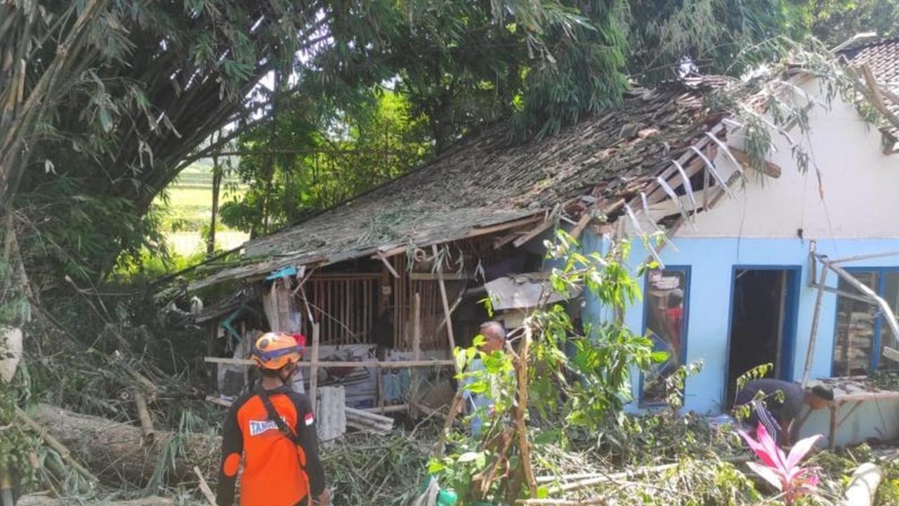 Angin Kencang Jember Terjang Lima Kecamatan, Tujuh Warga Terluka Akibat Pohon Tumbang