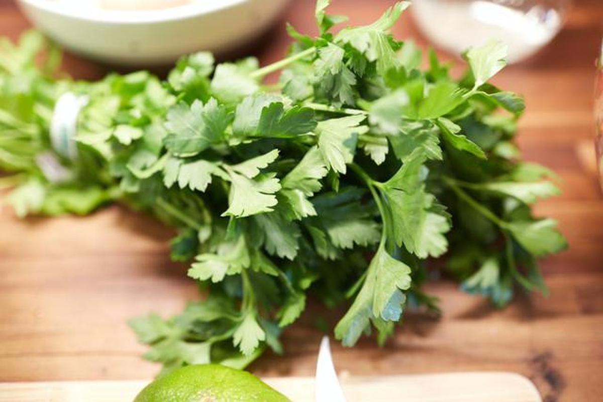 7 Rempah Dapur yang Bisa Ditumbuhkan di Pot Kecil, Cocok untuk Rumah Minimalis