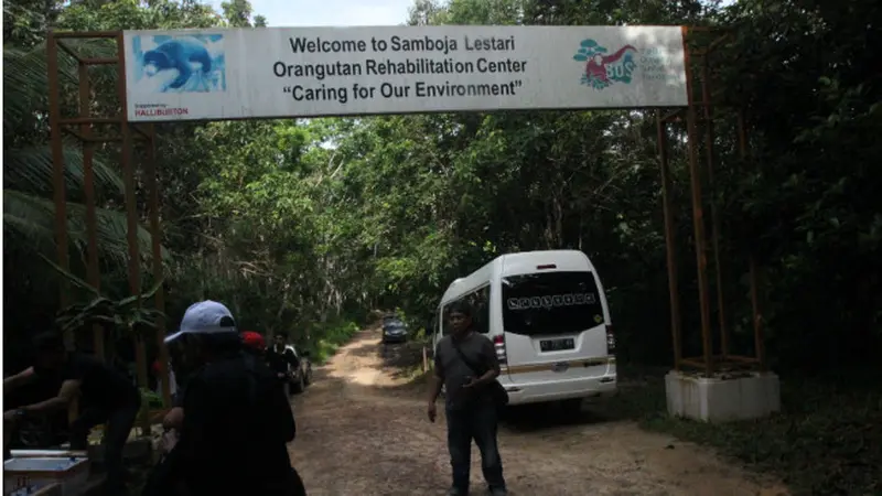 Sekolah Orangutan Kalimantan di Samboja